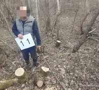 九州娱乐-包含森林狼后卫连续砍下高分双杀对手的词条