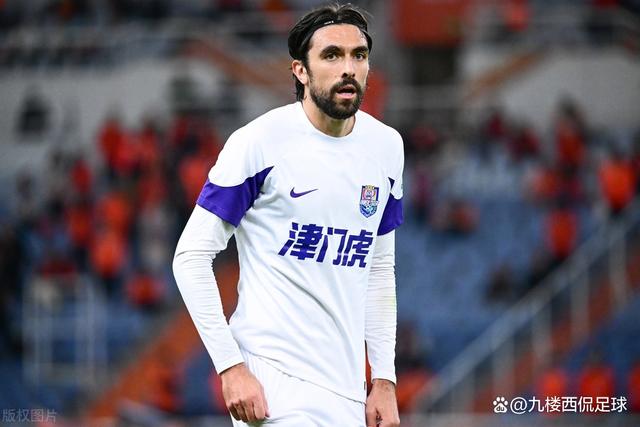 意甲球队签下知名外援，提升整体实力的简单介绍