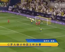 九州娱乐-包含匈牙利神奇逆转，主场-艰难击败斯洛伐克的词条