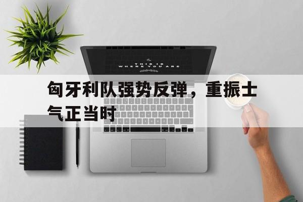 匈牙利队强势反弹，重振士气正当时(匈牙利队实力如何)