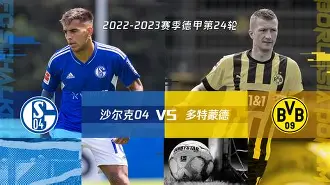 九州娱乐-沙尔克主帅下课传闻，球队战绩堪忧(沙尔克近期战绩)