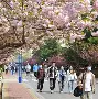 九州娱乐-青岛黄海队磨合进度缓慢，求胜欲望不足的简单介绍
